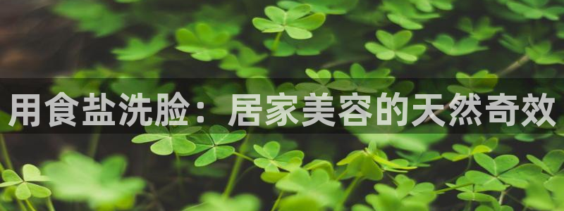 保定威九网络科技有限公司招聘
