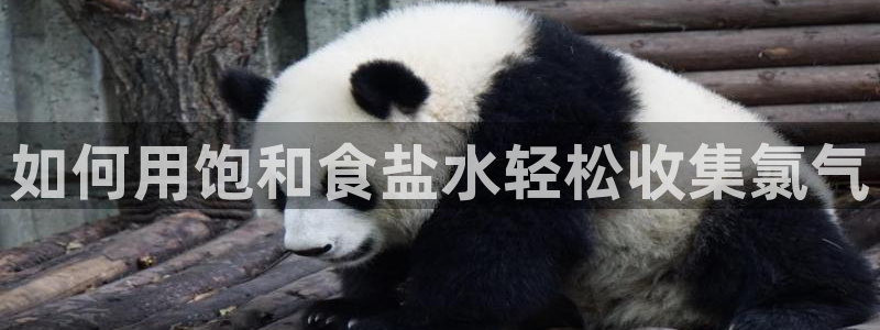 威九国际78mapp官网版下载