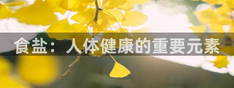威九国际新人白发
