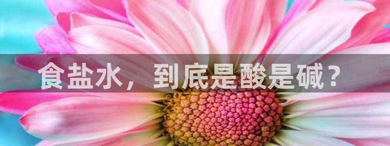 威九国际女艺人