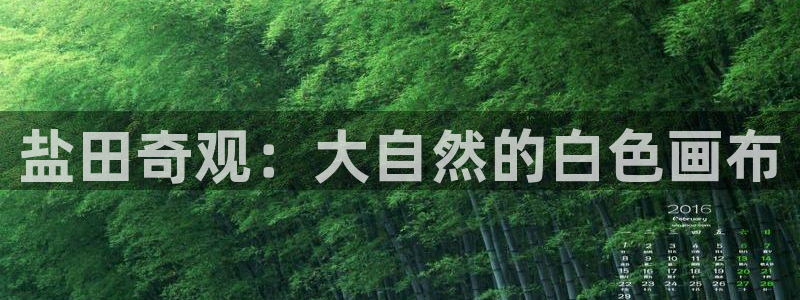 威九国际女艺人