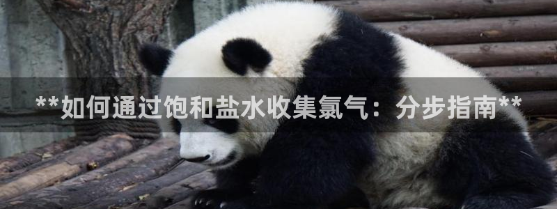 威九国际替好友去