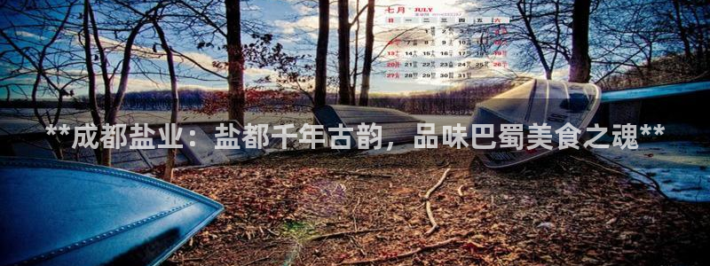 66m威九国际成长模式