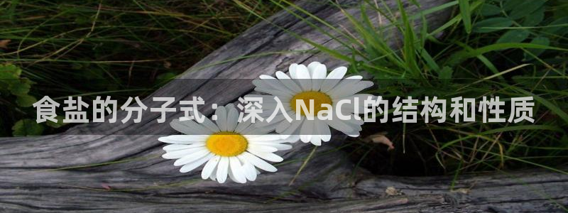 威九国际网站链接