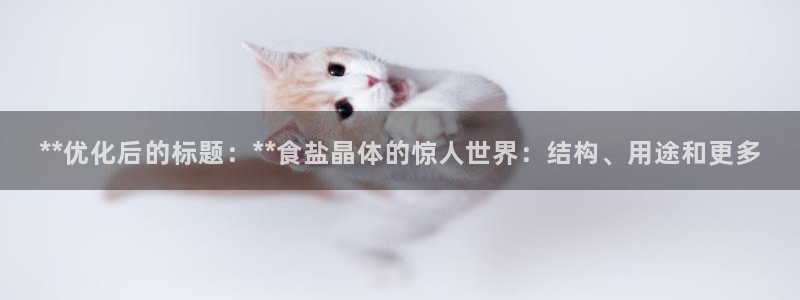 保定威九网络科技有限公司是干嘛的