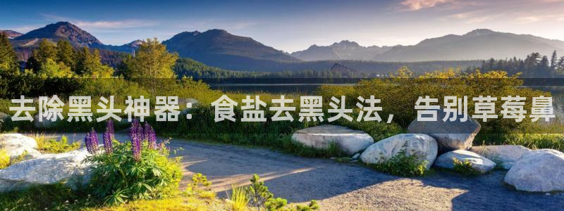 威九国际免费ppt网址