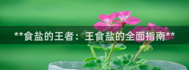 威九国际全国空降