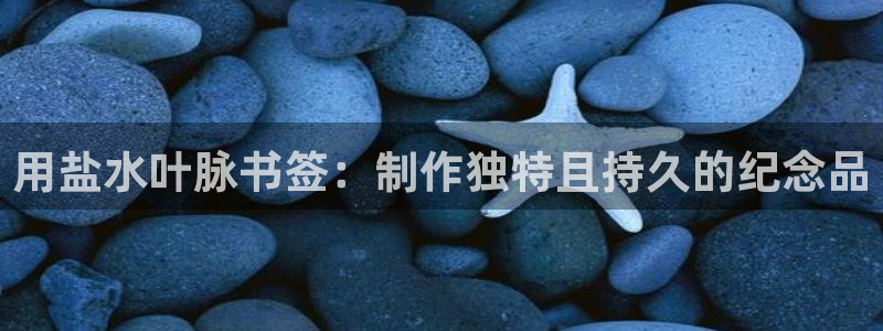 威九国际ppt免费下载