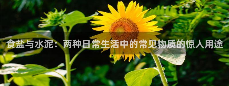 威九国际免费网络站