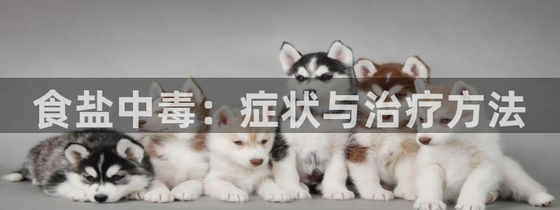 威九国际动漫