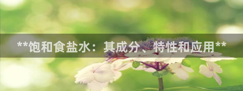 威九国际X8