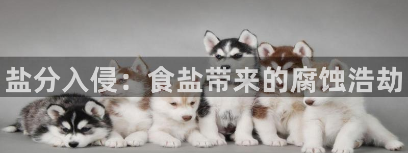 威九国际演员表