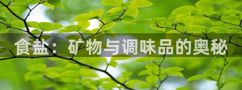 威九国际游戏