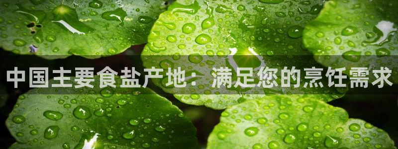 威九国际最受欢迎的功能