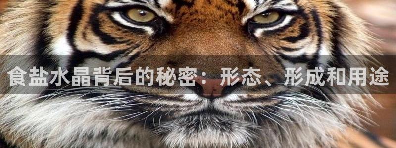 威九国际78免下载