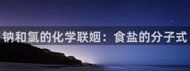 威九国际官方入口官网