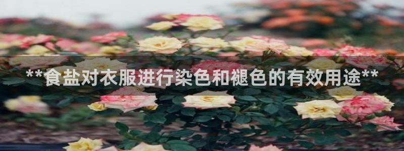 威九国际可以提现吗现在