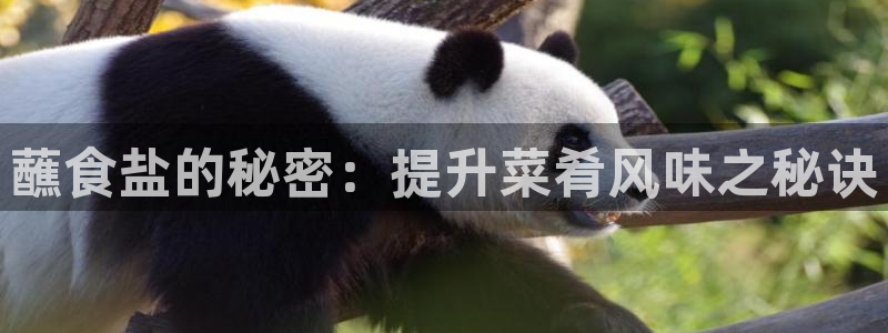 威九国际网站客服电话多少号码