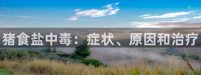 威九国际官网登录入口网址