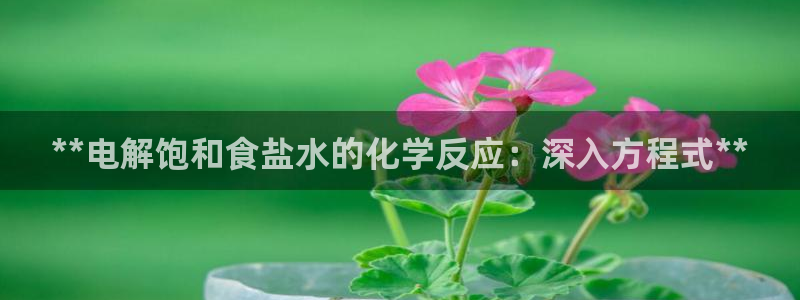 威九国际网站客服电话多少号