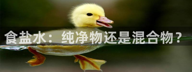 威九国际78