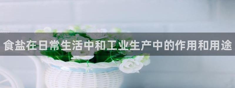 威九国际ft