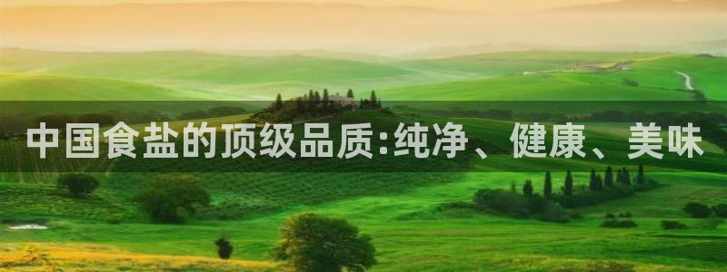 威九国际FF