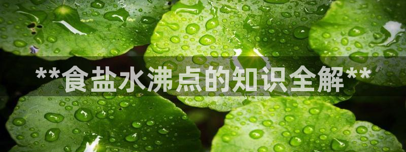 威九国际app网站安全吗