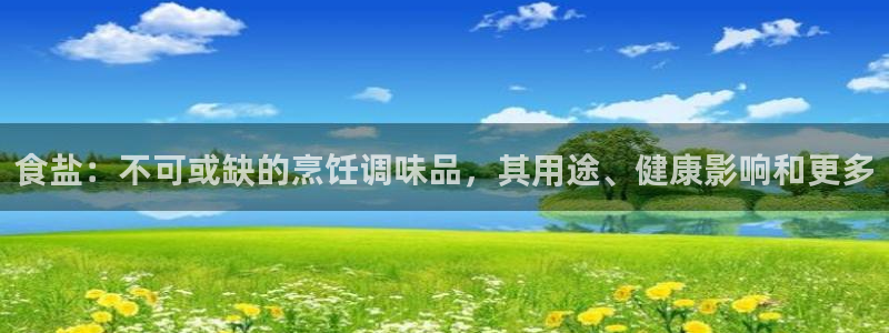 威九国际ppt免费吗