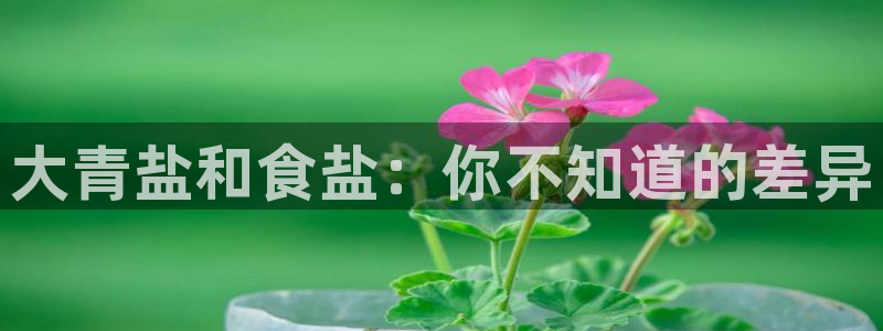 威九国际官方网站最新版本更新内容介绍