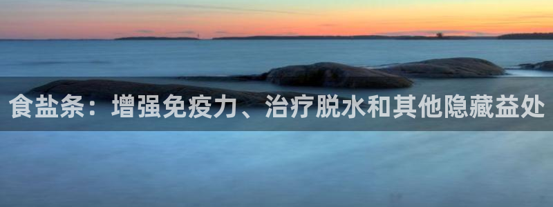 威九国际ppt免费下载网址