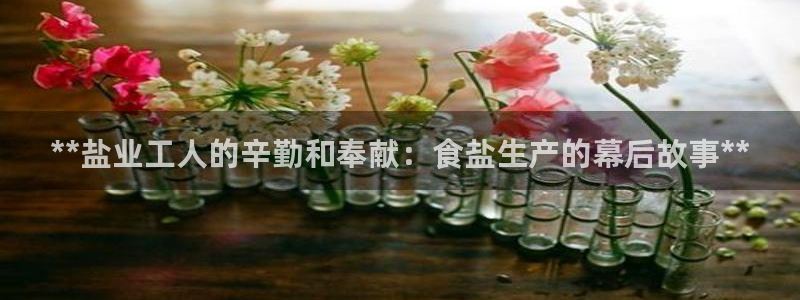 威九国际人民网招聘
