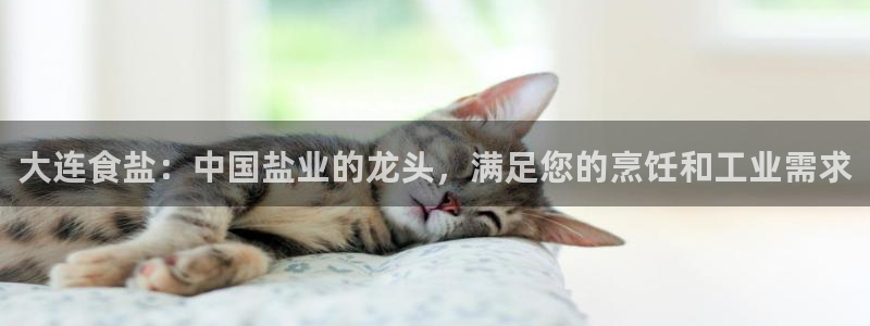 威九国际官方入口官网