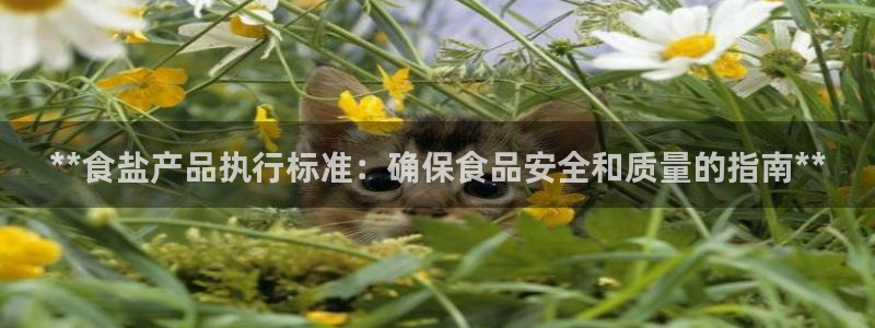 威九国际免费版