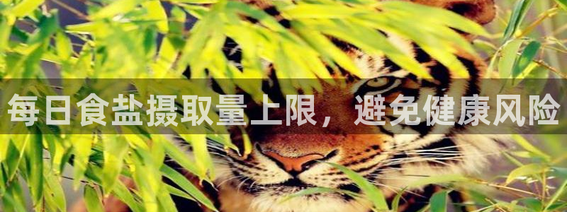 威九国际电视