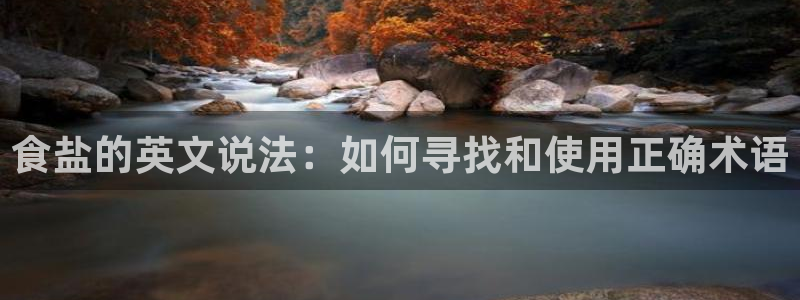 威九国际ppt免费下载