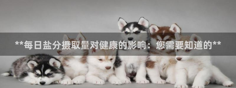威九国际的演员