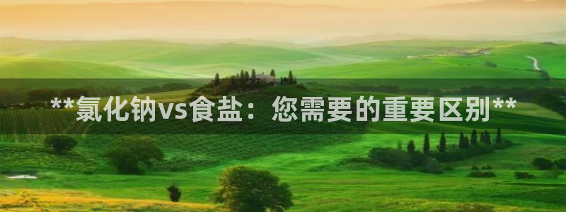 威九国际H