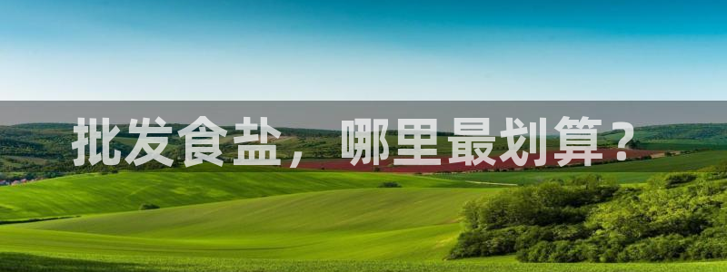 威九国际v96BET