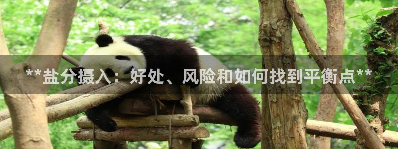 威九国际网站进入AB,AB
