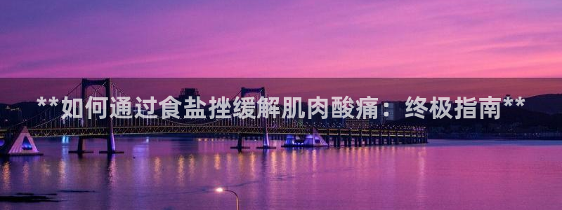威九国际PPT