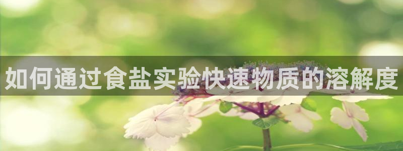 威九国际抡里