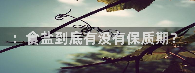 威九国际app哪个地方