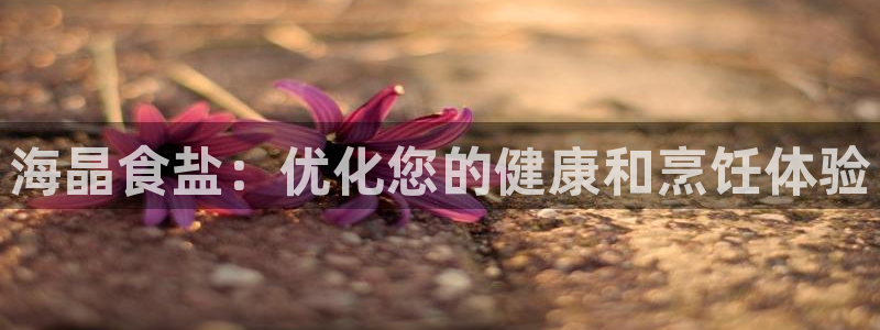 威九国际新