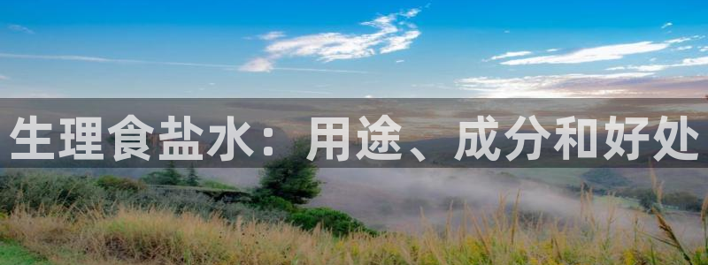 威九国际入囗