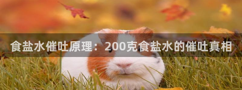 66m成长模式视频威九国际视频