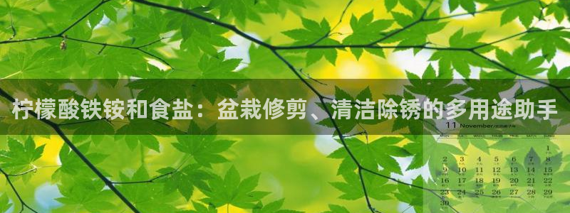 66m威九国际成长模式