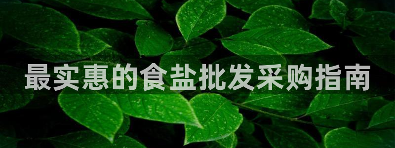 威九国际客服电话号码