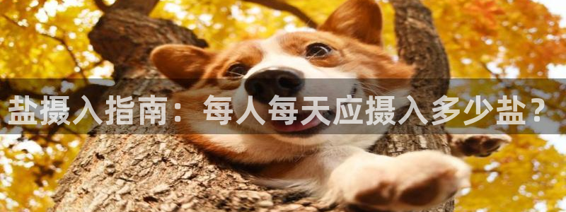 威九国际犯法吗