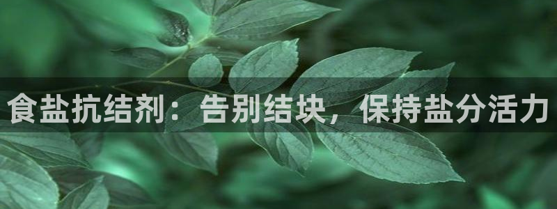 威九国际网站入口官网首页登录